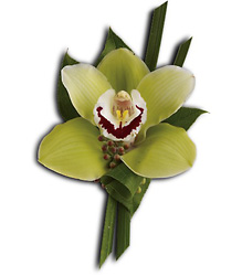 Green Orchid Boutonniere 